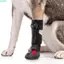 QEARY Paw Protectors, Giày cho chó chống rơi chống bụi bẩn, Đế cứng thoáng khí thoải mái Chống trượt Không kẹp Boot thú cưng ngoài trời