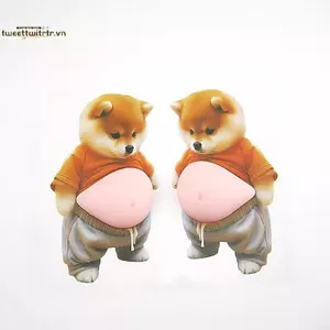 TRTR 1 / 5 Cái 3D Chó Con Dễ Thương Stier Bóp Shiba Inu Stier Tủ Lạnh Trang Trí Tường Silicon Tự Dính Stier VN