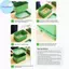 Khay đựng hạt thủy canh Pufangbliss Phương pháp nảy mầm đậu phộng di động không đất cho không gian nhỏ VN