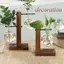 Bình thủy tinh JUIC Trang trí Terrarium Để bàn Chậu hoa