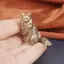 Maine Coon Trang trí máy tính để bàn bằng đồng thau cao cấp Tượng động vật mèo nhỏ Tượng nhỏ để trang trí nội thất Quà tặng Giáng sinh cho chủ mèo [VN]