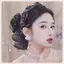 JRP Pháp Thanh Lịch Kim Cương Giả Bướm Kẹp Tính Khí Hàn Quốc Lưới Đuôi Ngựa Kẹp Phụ Kiện Tóc JRP