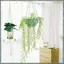 4 Gói Giỏ Treo Dây Cotton Macrame Móc Treo Cây 80CM & 100CM