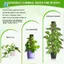 Cần Rêu Cho Monstera Trellis Cây Trong Nhà 113 cm Trellis Monstera Cây Cổ Phần Cây Ivy Giá Đỡ, Để Trồng Vườn