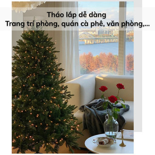 IKEA Mama Cây Thông PE+PVC Xanh, Bền Đẹp, Đèn LED & Thảm Lông Giáng Sinh