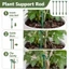 Hỗ trợ thực vật Cổ phần đa năng Chức năng Trang trí nội thất Tổ chức Essential Essential Essential