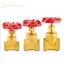 GE Dễ dàng lắp đặt Van cổng đồng thau ren nữ 1 / 2 "3 / 4" 1 "để kiểm soát nước dân cư hiệu quả VN