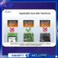 MSATA đến M. 2 SATA SSD Adapter Chuyển Đổi Thẻ Nâng Hỗ Trợ 2230 2242 Kích Cỡ- NGFF M. Chuyển đổi 2 KEY-B