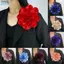JVSUB Lapel Pin, Trâm cài Satin 20CM, Phụ kiện quần áo thủ công Hoa lớn Huy hiệu Pháp