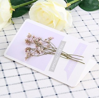 Thiệp đẹp chúc mừng sinh nhật thiệp hoa khô