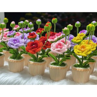 [Thành phẩm] Chậu Hoa Kẽm Nhung mini Thủ công Handmade - Làm Quà tặng - Decor Trang trí nhà cửa, bàn học, bàn làm việc
