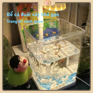 bể cá có đèn ngủ sáng tạo, bể cá để bàn, bể cá sinh thái sáng tạo, có đèn, trang trí bàn