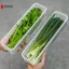 Hộp bảo quản tủ lạnh Bảo quản vỏ sò và mì Cilantro Rau quả Giỏ đựng đồ gia đình VN