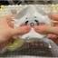 Chiikawa Hachiware Usagi Squishy Đồ Chơi Pinching Bóp Squishy Đồ Chơi Fidget Giải Nén Đồ Chơi