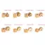 JASMINE 0.5M Modulus 8T 9T 10T 11T 12T 14T 15T 16T Răng Đồng Truyền Bánh Răng Cho Trục Truyền Bánh Răng Phù Hợp Với 1.98MM 2.3mm 3.17MM 3MM 5MM Trục JASMINE
