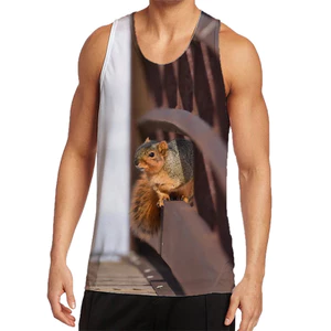 Sóc 3D In Hình Tank Top Dành Cho Nam Nữ, Đồ Họa Không Tay Hip Hop Dạo Phố Mới Lạ Áo Vest, Mềm Mại