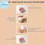 Pufangbliss Máy Nghiền Tỏi Nhựa Báo Chí Máy Cắt Rau Đồ Gia Dụng Xay Xay Dụng Cụ Xay Dụng Cụ Xay Tiện Ích Phụ Kiện Nhà Bếp VN
