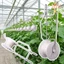 Móc lăn treo cà chua - Giá bánh xe sợi hoa - Móc treo bánh xe dây có thể điều chỉnh - Trellis hỗ trợ giấm trái cây - Dụng cụ cố định leo cây / Giao hàng miễn phí
