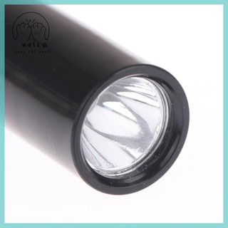 Đèn pin UV LED sạc lại - Phát hiện nước tiểu thú cưng & dấu vết bọ cạp