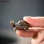 Ziyulinyuk 1 Cái Mini Kim Loại Rùa Hình Hương Thiền Gỗ Đàn Hương Sti Giá Đỡ Động Vật Ngộ nghĩnh Hương Giữ Trang Trí Nhà VN