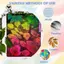 Tấm in gel có tấm gel có thể tái sử dụng được thiết kế để in đơn, dập & họa tiết nghệ thuật- Lý tưởng cho người mới bắt đầu, nghệ sĩ, trị liệu