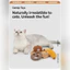HamshMoc Thực Phẩm Hình Catnip Đồ Chơi Mềm PP Cotton Giảm Căng Thẳng Cắn Đồ Chơi Sang Trọng Cho Người Lớn Mèo Con