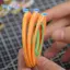 Băng mô hình siêu mỏng để che mặt và phủ Băng DIY bền 5 chiều rộng để bảo vệ mô hình chính xác