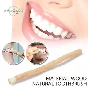 Que chăm sóc răng miệng CATMALLER88, Bàn chải đánh răng Miswak mềm có thể phân hủy sinh học, Tự nhiên Không cần kem đánh răng Cần nhai truyền thống Chăm sóc răng miệng