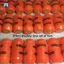 Ván Trượt 94A Rebound Polyurethane Pad Ván Trượt Phụ Kiện Trượt Băng Sàn Xe Tải Lái Pad