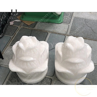 Cặp hoa sen đá non nước 16x20 cm HANMYNGHE