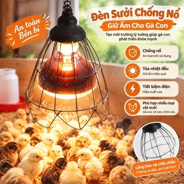 Đèn sưởi ấm, đèn nuôi giữ nhiệt, đèn ấp trứng, đèn cách nhiệt ánh sáng ấm
