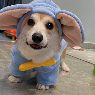 Corgi Quần Áo Thu Đông Dày Ấm Áp Vừa Chó Nhỏ Bichon Schnauzer Vest Shiba Inu Chó Mùa Đông Quần Áo WGPI