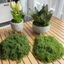 Rêu giả trang trí, rêu nhân tạo phủ gốc cây, decor tiểu cảnh sân vườn giống thật dạng sợi nhiều màu-GIOVA