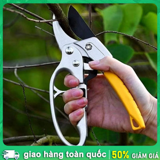 Kéo Cắt Cành Cộng Lực Thép SK5 Chống Gỉ, Chuyên Tỉa Cây Cảnh, Cây Ăn Trái, Tay Cầm Êm Chắc