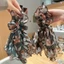 Dây buộc tóc Fairy Mesh Scrunchies - Nhẫn tóc co giãn lớn dành cho bé gái tạo kiểu