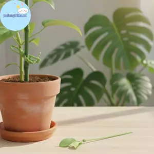 Pufangbliss 10 / 20 / 50 Dây buộc dây tự cài hình lá Nylon để hỗ trợ cây trồng làm vườn và quản lý dây linh hoạt chịu lực nặng để sử dụng trong nhà và ngoài trời VN