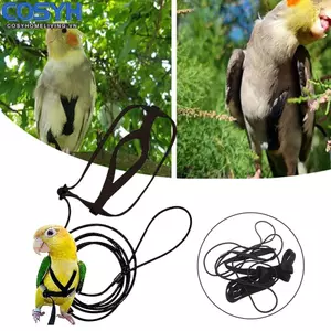 <cosyh>Straps Band Training Rope Bird Accessories Leash Adjustable Nylon Black