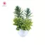 MJnmc Thu Nhỏ Chậu Cây Trang Trí Tỉ Lệ 1: 12 Nhà Búp Bê Mini Cây Cảnh Mô Hình Trang Trí Đồ Chơi Micro Cảnh Phong Cảnh Đạo Cụ Ảnh Mới