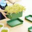 Khay đựng hạt thủy canh Pufangbliss Phương pháp nảy mầm đậu phộng di động không đất cho không gian nhỏ VN