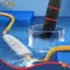 NOTE1 Ethernet Thẳng, Chống Thấm Nước IP67 Đầu Nối Docking RJ45 Chống Bụi, Bộ Chuyển Đổi Đầu Đôi Cáp Băng Thông Rộng Nữ Cáp Mở Rộng