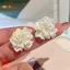 < Honeyba > 1 Cặp Mori Phong Cách Đá Cra Hoa Tai Hợp Thời Trang Niche Tính Khí Bông Tai Thời Trang Thanh Lịch Cho Nữ Cô Gái Ngọt Ngào Trang Sức Dễ Thương Đẹp