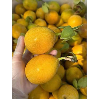 🍋Cây giống Chanh dây Colombia - Dòng chanh ngọt hương mãng cầu - Cây leo giàn - Sinh trưởng nhanh bầu rễ ổn định