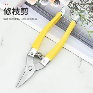 Kéo tỉa cam lưới hái trái cây inox, dùng cho vườn hoa, vườn cây ăn quả