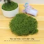 Rêu giả trang trí, rêu nhân tạo phủ gốc cây, decor tiểu cảnh sân vườn giống thật dạng sợi nhiều màu-GIOVA