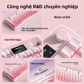 Bàn phím ba chế độ Bluetooth không dây Wolf Tu L98 RGB Laptop Trò chơi văn phòng Phim có dây Bàn phím im lặng
