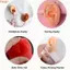 THEGIRL8B Giá đỡ mô hình tai người, Giá đỡ hợp kim Mô hình tai silicon nhiều màu, Bền mềm mại Piercable Bông tai nhẹ Đế trưng bày đồ thủ công DIY