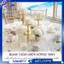 Dành Cho Bàn Cưới Biển Số 30 Cái 1 Đến 30, 4 X 6 Inch Cho Tiệc Cưới, Tiệc, Nhà Hàng, Dự Án DIY