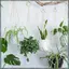 4 Gói Giỏ Treo Dây Cotton Macrame Móc Treo Cây 80CM & 100CM