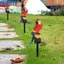 <cosyh>Elegant Resin Solar Light for Garden Parrot Animal Lawn Ornament Waterproof Lamp