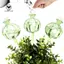 Thiết bị trồng cây trong nhà Hệ thống tưới nhỏ giọt 4 Bóng đèn tưới cây tự động bằng thủy tinh Máy nhỏ giọt hình hoa cho hoa trong nhà